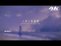 不是花火呀 - 想自由 (原唱:林宥嘉)『或許只有你 懂得我，所以你沒逃脫。』【高音質|動態歌詞Lyrics】♫