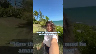 The price of paradise❤️🌴⚡️💨