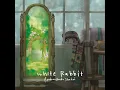 White Rabbit