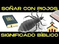 Dreaming about LICE BIBLICAL meaning - Different Religions