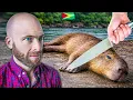 Lagu Eten aan de Essequibo-rivier in Guyana!! Capibara, opossum en leguaan!!