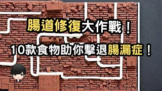 Download 擺脫腸漏症的利器：10款食物助你重建腸道健康 （附中文字幕）｜健康飲食週報 Healthy Eating Weekly Report MP3