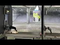 Kentucky Gun Co W Brooke Brad