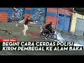 Download Lagu 17 AGUSTUS POLISI MAT1KAN PEMBEGAL‼️MALING PAS KARNAVAL MALAH BONYOK❗INI TAMPANG PELAKU ☠️💥