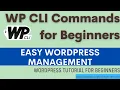 WordPress Tutorial - How To Use WP CLI for Beginners