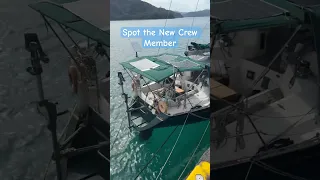 While I was visiting Longevity Villages … This Happened #fieldnotes #japan #community