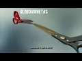 Download Lagu Vinhetas de intervalo de Ti Ti Ti (2010)