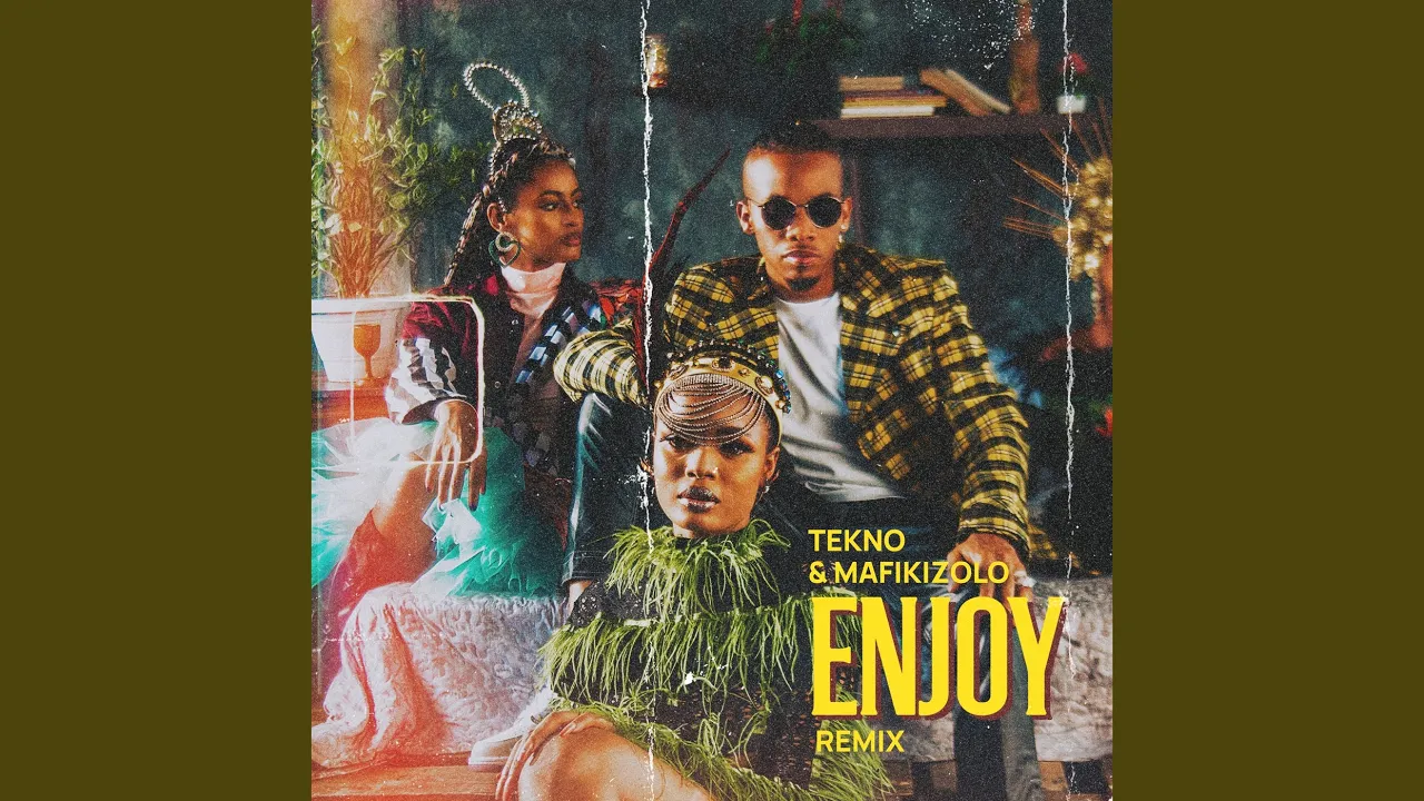 Enjoy (Remix)