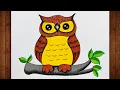How To Draw an Owl Owl Drawing Owl Drawing Colour