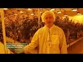 Next Big Crop Testimonials - gLeaf Medical Cannabis