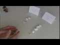 Mike Campbell Minimization