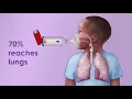Asthma Inhaler with Spacer