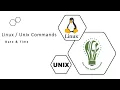 Finding Date and Time Commands date