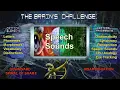 The Brain s Challenge Processing Speech Sounds