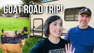 We're Taking Our Farm Life on the Road!