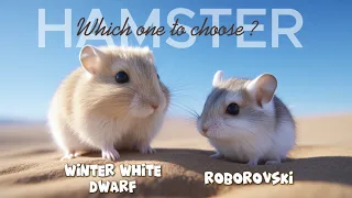Which one is BEST for Kids Do they nip Before you buy a hamster Watch this