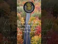 Download Lagu Surah Al Ikhlas #quran #surah #nature #recitation #beautiful #motivation #love #muslim #islam #peace
