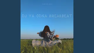 dj ya odna breakbeat radio edit 