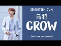 Download Lagu [LYRICS/가사] SEVENTEEN (세븐틴) JUN - 乌鸦 (Crow)