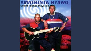 izinto zimbi