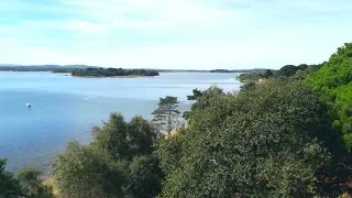 Brownsea Island