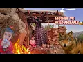 Download Lagu Wild animals attack Homeless mother covered the hut roof to protect her daughter