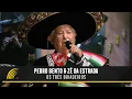 Download Lagu Pedro Bento \u0026 Zé Da Estrada - Alexandre Garcia - Os Três Boiadeiros - 55 Anos De Sucesso (Ao Vivo)