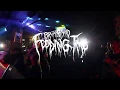 Download Lagu AMORFATI - SEPAKAT SEKARAT | LIVE AT FEEDING TIME JAKARTA | BRUTAL MIND