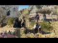Download Lagu Documentaire over het nomadenleven⛰️ | Het gevaarlijke avontuur van het zoeken naar schapen in de b