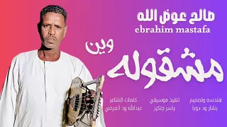 صالح عوض الله 