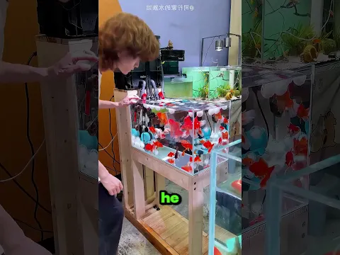 Cotton Accidentally Cleaned His Fish Tank
