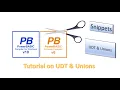 PowerBasic Snippets - Tutorial on UDT and Union commands