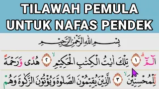 belajar tilawah pemula nafas pendek surah luqman ayat 1 8