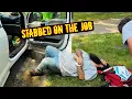 Download Lagu I Got Stabbed While Working on This FREE Lawn Clean Up