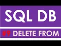 SQL Database 9 SQL DELETE FROM Apex Oracle