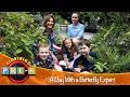 A Day With a Butterfly Expert | Butterfly World Virtual Field Trip | KidVision Pre-K