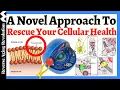 Download Lagu The Missing Link to Age Well?  Restore Your Cellular Health With This Novel Approach