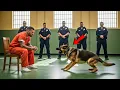 Download Lagu His Last Wish Before Execution To See His Dog, But What Happened Changed Everything…