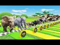 Download Lagu Animal Speed Challenge: Who's the Fastest?