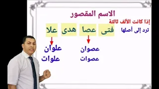 الاسم المقصور والمنقوص والممدود التثنية والجمع 