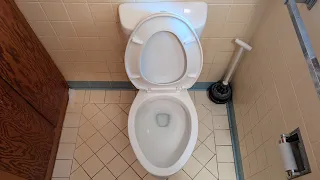 2025 Project Source Pro Flush Dual Toilet