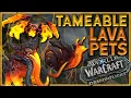 DRAGONFLIGHT NEW TAMEABLE LAVA PETS World of Warcraft Dragonflight Beta