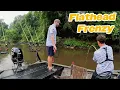 Unbelievable Flathead Catfish Frenzy Non-Stop Action