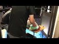Yanagawa  Maguro  cutting exhibition