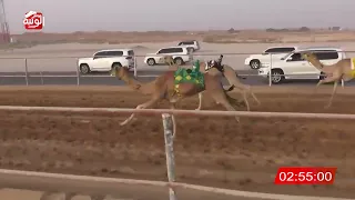 الشوط 6 شاهين لـ سعيد سالم بن حمد سالم الدرعي 4 33 04 شارة الديوان 2025 11 7 حقايق الرقيعات 