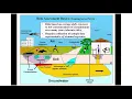 Risk-Based Characterization of Contaminated Soil and Sediment February 20 2019