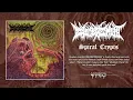 Download Lagu DISEMBODIMENT 'Spiral Crypts' (Full Album Stream)