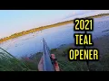Wisconsin Public Land Teal Opener Shotkam Teal Hunting 2021