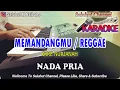 Download Lagu MEMANDANGMU ll KARAOKE REGGAE ll IKKE NURJANAH ll NADA PRIA ES=DO