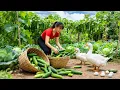 Lagu TIMELAPSE -- Harvest 200Kg Giant Delicious Cucumbers \u0026 New Hybrid Cucumbers Variety Discovered